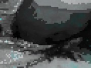 we got banned from pornhub, extreme pov close up creampie surprise 14/16