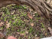 Walk in the park pt. 1 10/16