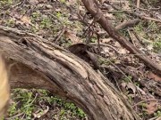 Walk in the park pt. 1 11/16