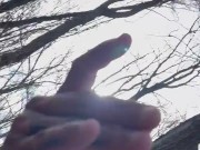 Walk in the park pt. 1 2/16