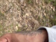 Walk in the park pt. 1 3/16