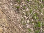 Walk in the park pt. 1 5/16