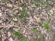 Walk in the park pt. 1 9/16