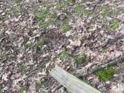 Walk in the park pt. 2 14/16