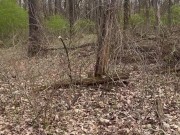 Walk in the park pt. 2 4/16