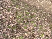 Walk in the park pt. 2 5/16