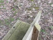 Walk in the park pt. 2 6/16