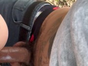 walk in the park pt.3 11/16