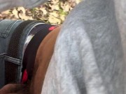 walk in the park pt.3 12/16