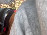 walk in the park pt.3 13/16