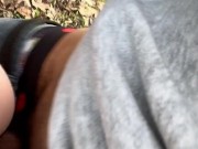 walk in the park pt.3 15/16