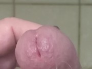 Beautiful Frenum Cock  