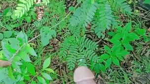 PASULYAP SULYAP BAKA MAY NAMBOBOSO