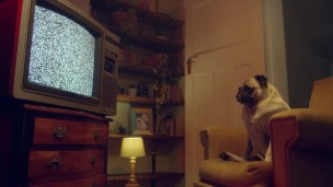 BENFIT MONKEY: We were in the middle of recording but we couldn't resist the desire - P2