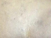 Me mama el pene de 13 cm 13/16