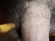 A little afternoon delight 6/16