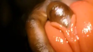 TOY PUSSY AND ANAL FINGERING