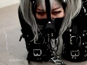 Rubber puppy is connected to a thick leash for a friendly walk ❤ 5/16