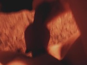 Kitten plays with rose 3/16