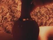 Kitten plays with rose 7/16