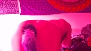 Butt tail puppy chains rope self bondage nipple clamps