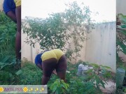 African gardener AKIILISA checking out the fruits of the season/lover's Tshirt and tiny booty short/ 12/16