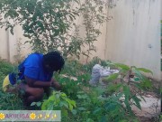 African gardener AKIILISA checking out the fruits of the season/lover's Tshirt and tiny booty short/ 14/16