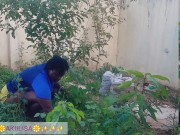 African gardener AKIILISA checking out the fruits of the season/lover's Tshirt and tiny booty short/ 15/16