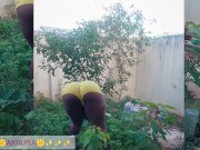 African gardener AKIILISA checking out the fruits of the season/lover's Tshirt and tiny booty short/ 4/16