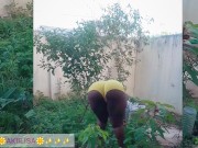 African gardener AKIILISA checking out the fruits of the season/lover's Tshirt and tiny booty short/ 8/16