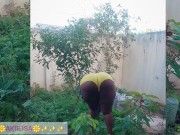 African gardener AKIILISA checking out the fruits of the season/lover's Tshirt and tiny booty short/ 9/16
