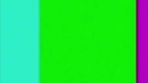 shortie summary videos 🧡Zoe and Max🧡