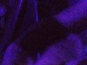 Latino Daddy Masturbating In Adult Sex Dungeon