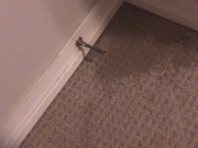 Peeing on My Bedroom Carpet in the Middle of the Night 11/16