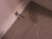 Peeing on My Bedroom Carpet in the Middle of the Night 6/16