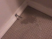 Peeing on My Bedroom Carpet in the Middle of the Night 7/16