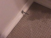 Peeing on My Bedroom Carpet in the Middle of the Night 9/16