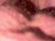 I love cream pies who’s next 4/16