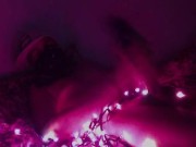 sniff and light 11/16