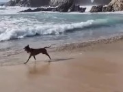 Salimos a caminar desnudos a la playa 11/16