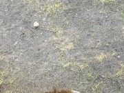 Gentle blowjob from a girl in nature 1/16