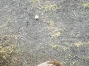 Gentle blowjob from a girl in nature 11/16