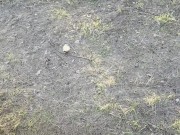 Gentle blowjob from a girl in nature 12/16