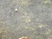 Gentle blowjob from a girl in nature 16/16