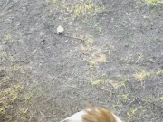 Gentle blowjob from a girl in nature 7/16