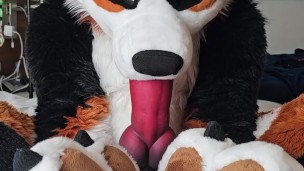 @AngryBarks self sucking his extra large bone💦