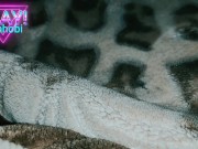 😘راجلي جا عيان من الخدمة مقادش يحوي بقيت نلعب ليه بزبو غزال - Screenshot 1 of 16 - Big Ass