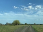 Зять увёз тёщу в лес,трахнул и залил её рот кримпаем 1/16