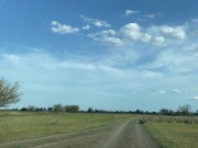 Зять увёз тёщу в лес,трахнул и залил её рот кримпаем 2/16