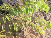 Colombiana culona y tetona tiene sexo al aire libre con el amigo de su novio en lugar publico 6/16